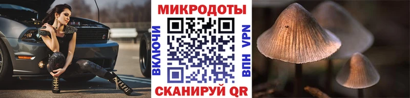 OMG как зайти  Котовск  Псилоцибиновые грибы ЛСД 